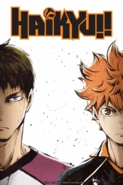 Haikyuu!! Tercera Temporada