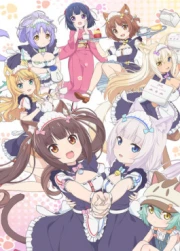 Nekopara Anime